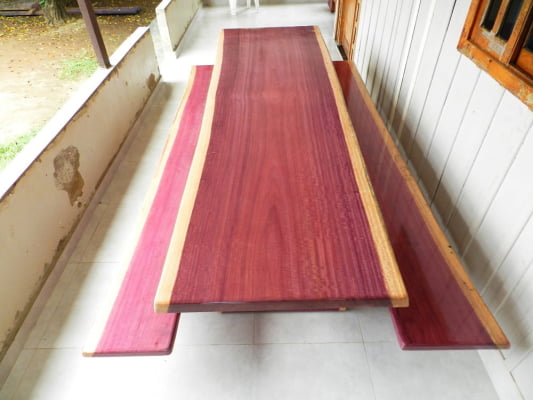 Conjunto Mesa Rústica Tampão(350cm x 88cm x 6,0cm) com 2 Bancos Laterais Tampão(350cm x 36cm x 4cm)  Pés Formato Taça - Acabamento Verniz Auto-Brilho - 12 lugares
