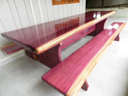 Conjunto Mesa Rústica Tampão(350cm x 88cm x 6,0cm) com 2 Bancos Laterais Tampão(350cm x 36cm x 4cm)  Pés Formato Taça - Acabamento Verniz Auto-Brilho - 12 lugares