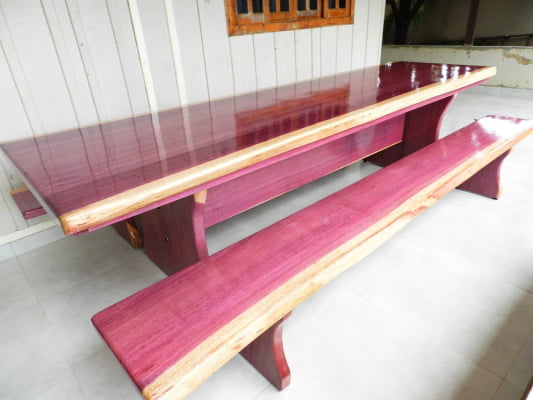 Conjunto Mesa Rústica Tampão(350cm x 88cm x 6,0cm) com 2 Bancos Laterais Tampão(350cm x 36cm x 4cm)  Pés Formato Taça - Acabamento Verniz Auto-Brilho - 12 lugares