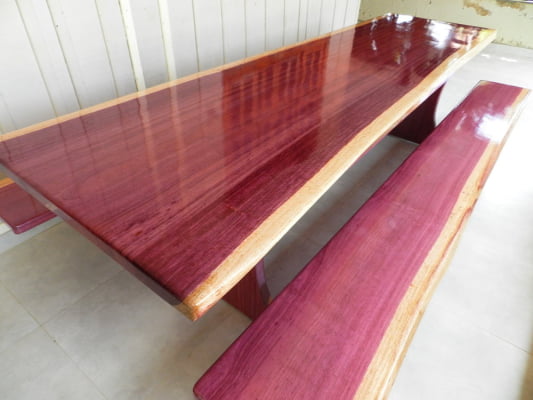 Conjunto Mesa Rústica Tampão(350cm x 88cm x 6,0cm) com 2 Bancos Laterais Tampão(350cm x 36cm x 4cm)  Pés Formato Taça - Acabamento Verniz Auto-Brilho - 12 lugares